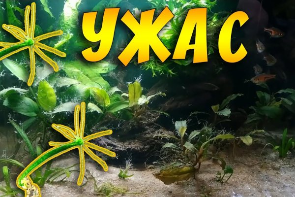 Кракен магазин нарков