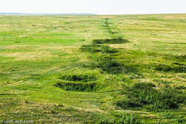 Кракен даркет