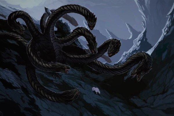Kraken площадка