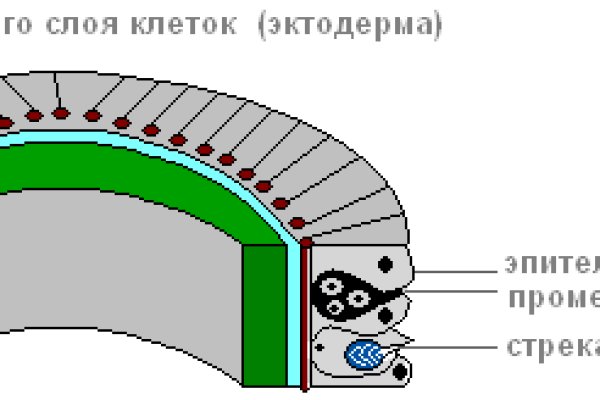 Кракен тор gigageek ru