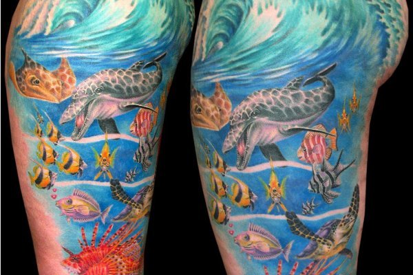 Kraken cc ссылка
