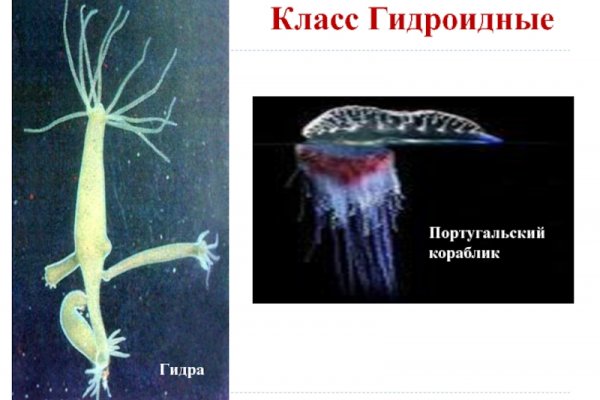 Сайт кракен магазин kraken2 tor2 xyz