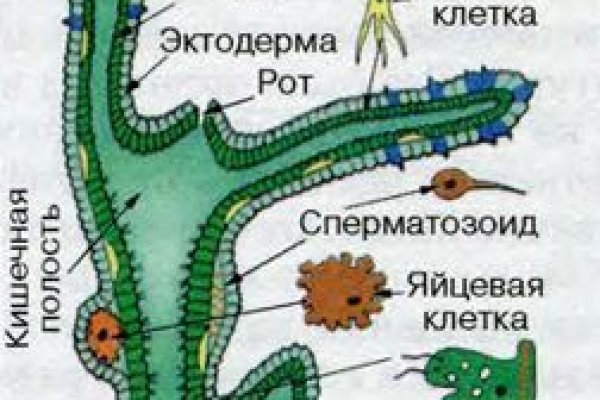 Кракен зеркало сайта