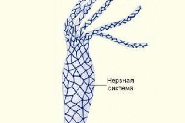 Kraken ссылка onion 2kmp