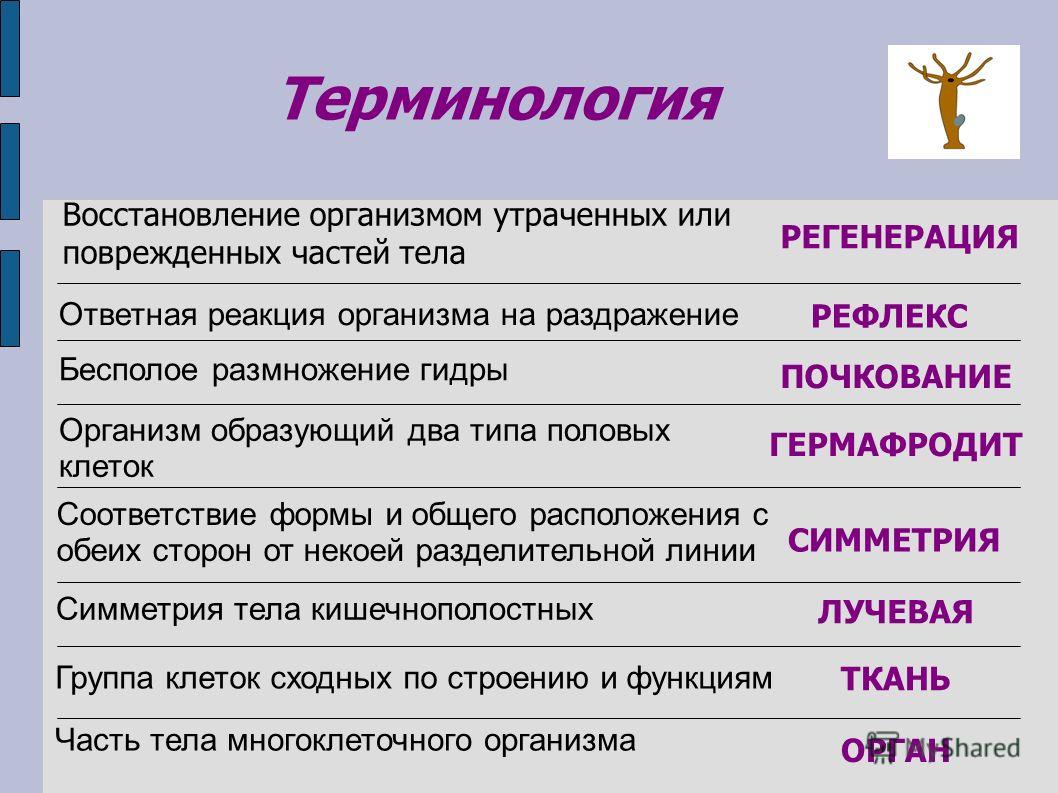 Дарк нет вход